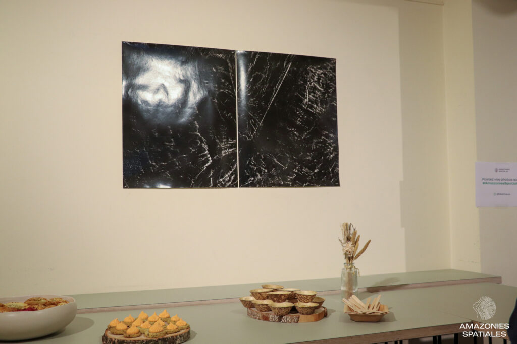 cynthia-charpentreau-amazonies-spatiales-oeuvre